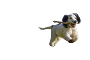 admin ajax 3 removebg preview